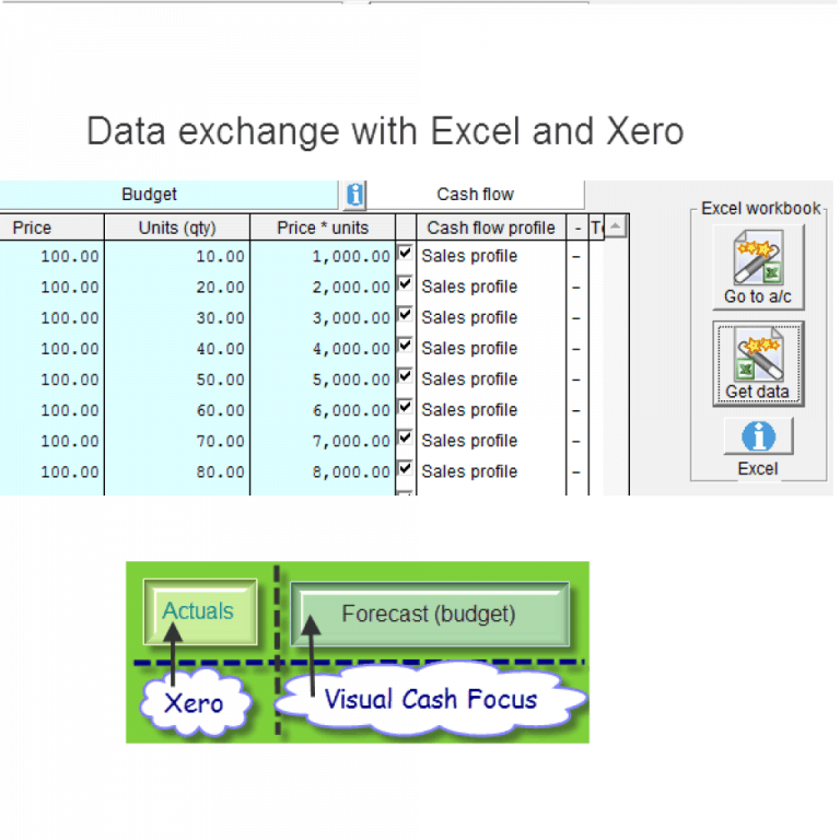 Visual cash focus integrates to Excel and Xero accounting