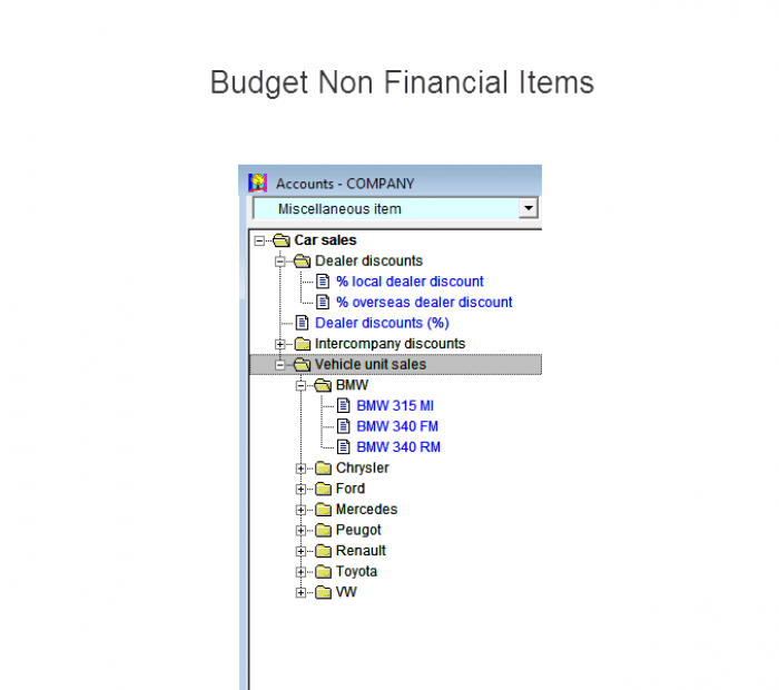 Budget non financial items that are drivers of financial outcomesin Visual cash Focus business buget software